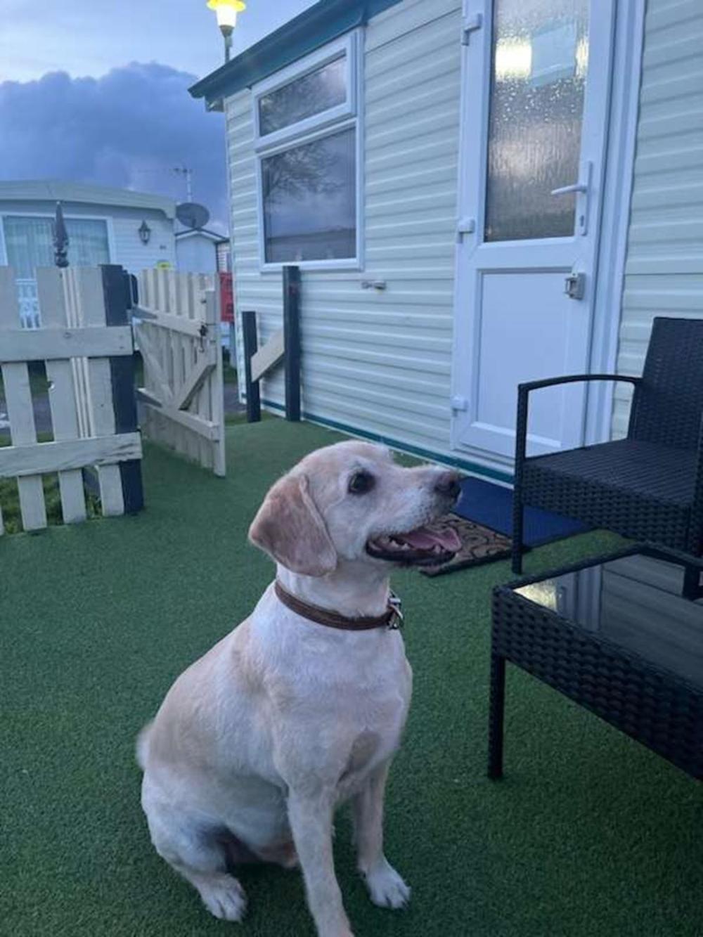 Hotel Sunnyside - Pet Friendly, Ingoldmells Exteriér fotografie